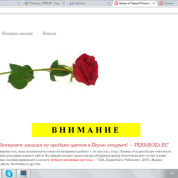 1000RUB - Сертификат оплаты на сайте PERMROZA.RU