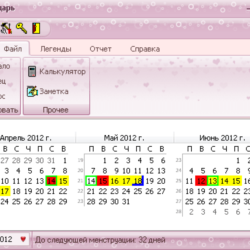 Индивидуальный календарь для женщин
