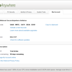 WebRoot SecureAnywhere™ AntiVirus 2013: ключ на 90 дней