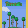 TERRARIA (Steam)(Region Free)