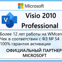 Microsoft Visio Professional 2010 🔑Microsoft Партнёр🔥
