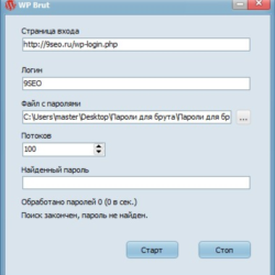 WordPress Brut