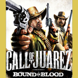 🎁CALL OF JUAREZ: BOUND IN BLOOD (Steam)(RU/ CIS)