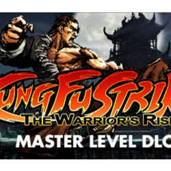 Kung Fu Strike Warriors Rise Master Level DLC  (STEAM)