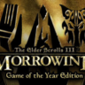 The Elder Scrolls III: Morrowind GOTY STEAM КЛЮЧ РФ СНГ