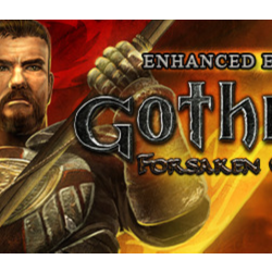 Gothic 3: Forsaken Gods Enhanced Edition STEAM КЛЮЧ РФ МИР