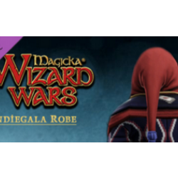 Magicka: Wizard Wars Indiegala Robe DLC (Steam Key RoW)