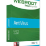 Webroot SecureAnywhere AntiVirus 1 ГОД/1ПК