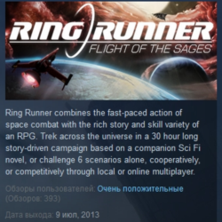 Ring Runner: Flight of the Sages 💎 STEAM KEY GLOBAL
