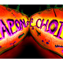 Weapon of Choice (Steam KEY ROW Region Free)