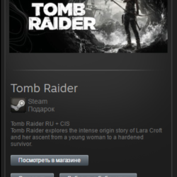 Tomb Raider 2013 (Steam, Tradable Gift, ROW)