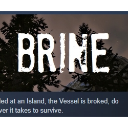 Brine \ Strayed STEAM KEY REGION FREE GLOBAL РОССИЯ