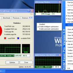 RAM Saver Professional