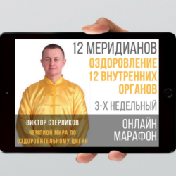 Все уроки по Оздоровлению 12 основных органов