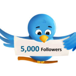 Twitter читатели 5000 Дешево Бесплатно Твиттер подписки