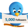Twitter читатели 5000 Дешево Бесплатно Твиттер подписки