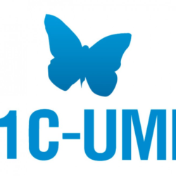 Промокод 1C-UMI на 51% скидку   домен в подарок