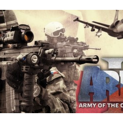 Arma 2 Army of the Czech Republic  Steam Key Region fre