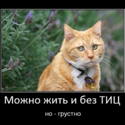 База сайтов для поднятия тИЦ и продвижения