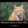 База сайтов для поднятия тИЦ и продвижения