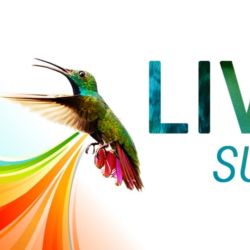 10000 посещений из системы LiveSurf   БОНУС
