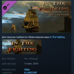 In The Fighting Dazzling Wallpapers STEAM KEY DLC REGION FREE GLOBAL