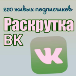 250 живых подписчиков Вконтакте без отписок лайки