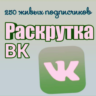 250 живых подписчиков Вконтакте без отписок лайки