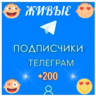 Живые подписчики телеграм   лайки
