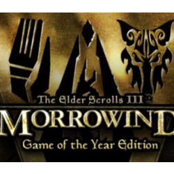 The Elder Scrolls III: Morrowind GOTY STEAM КЛЮЧ РФ МИР