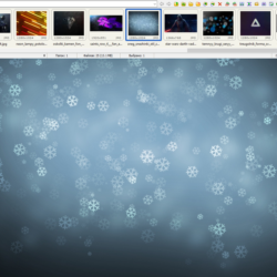 FastStone Image Viewer (Лицензионный ключ)   бонус