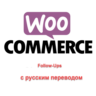 WP woocommerce-follow-up-emails перевод на русский