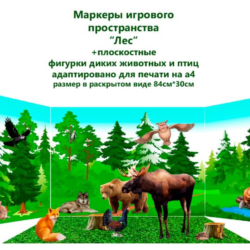 Маркеры игрового пространства "Природные зоны"
