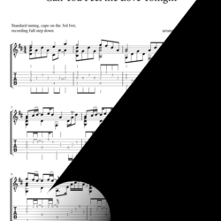 Can You Feel the Love Tonight (2019 version)