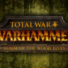 Total War: WARHAMMER - Realm of The Wood Elves STEAM КЛЮЧ