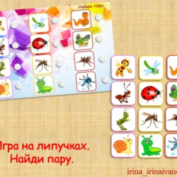 НАЙДИ ПАРУ насекомые /электронная версия