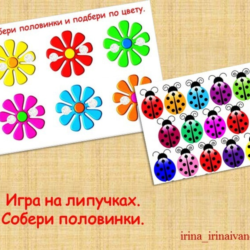 ПОЛОВИНКИ ЦВЕТОЧЕК /электронная версия