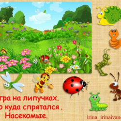 КТО КУДА СПРЯТАЛСЯ насекомые /электронная версия