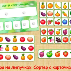 СОРТЕР ЯГОДЫ,ФРУКТЫ,ОВОЩИ/электронная версия