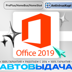 OFFICE 2019 PROFESSIONAL PLUS
