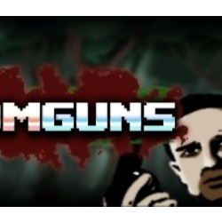 Romguns (Steam key/Region free)