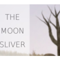 The Moon Sliver STEAM KEY REGION FREE GLOBAL ROW   🎁