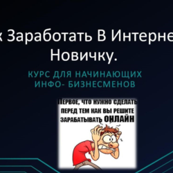 Видео руководство Как заработать в интернете новичку
