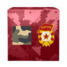 1-й подарок ко Дню России