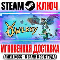 Owlboy Steam Ключ РФ Мир  Бонус