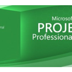 Microsoft Project профессиональный 2019