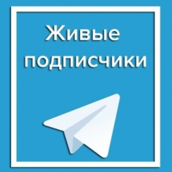 200 живых подписчиков телеграм без отписок  лайки