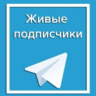 200 живых подписчиков телеграм без отписок  лайки