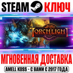 ⚫Torchlight 1 Steam Ключ РФ Мир  Бонус