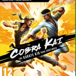 Cobra Kai The Karate Kid Saga Continues Xbox one